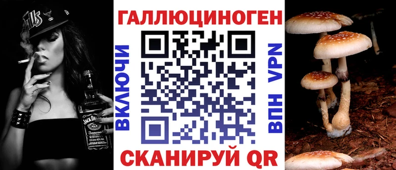 Галлюциногенные грибы Psilocybe хочу Дмитриев
